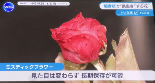 テレビ東京 WBSに出演